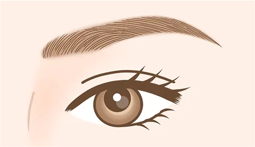 キリッと系の眉デザイン例